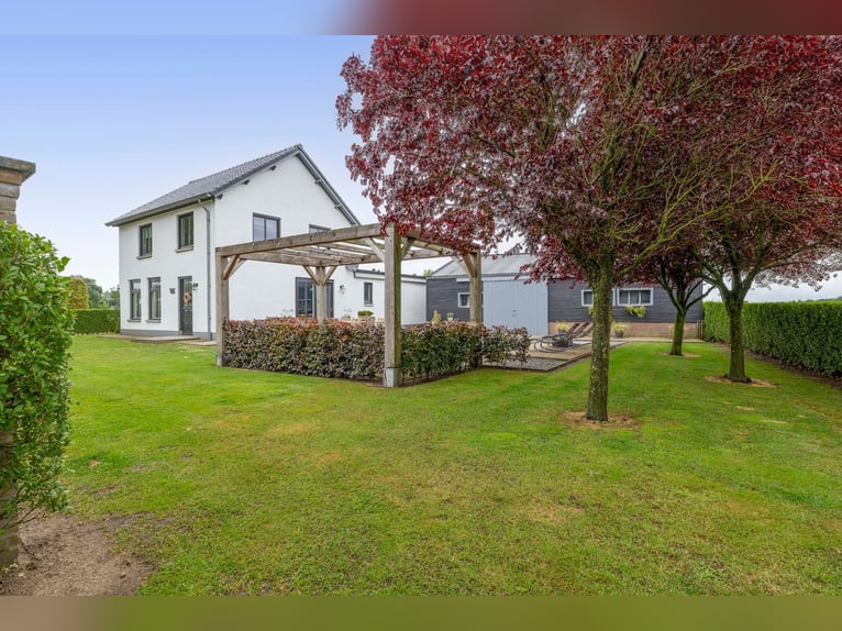 Unique equestrian property with 10 stables & outdoor arena near forest trails