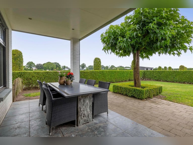 Unique equestrian property with 10 stables & outdoor arena near forest trails