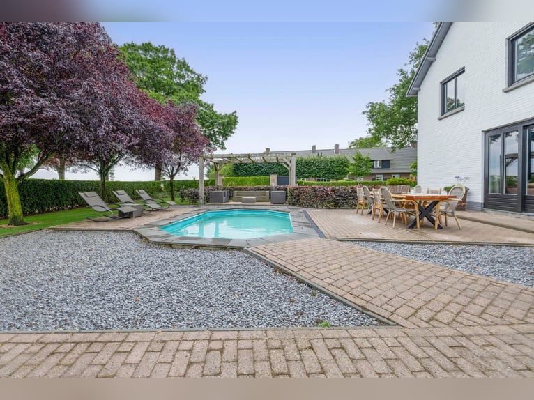 Unique equestrian property with 10 stables & outdoor arena near forest trails