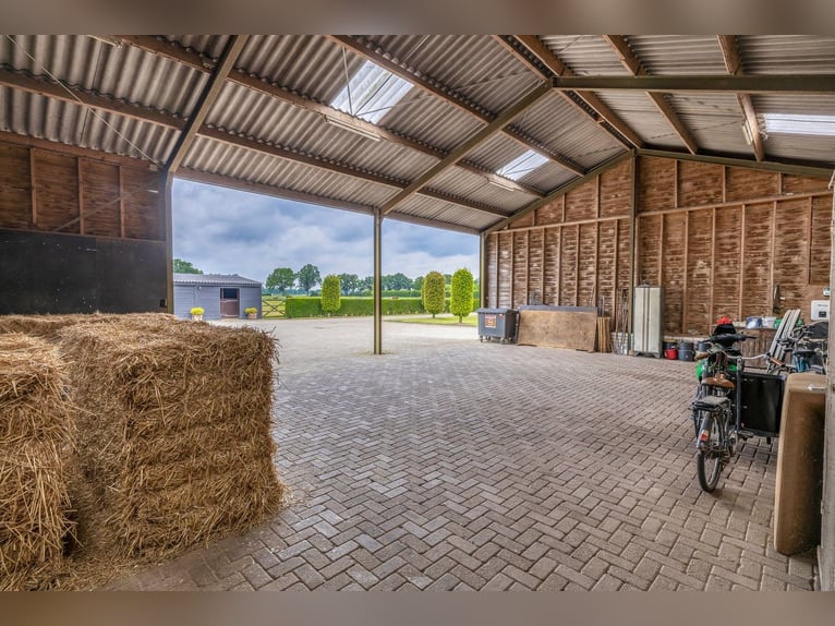 Unique equestrian property with 10 stables & outdoor arena near forest trails