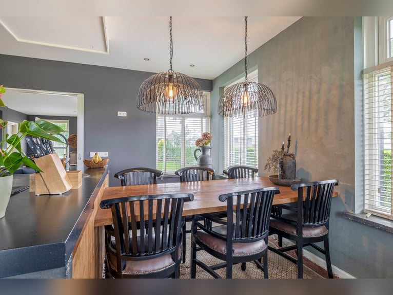 Unique equestrian property with 10 stables & outdoor arena near forest trails