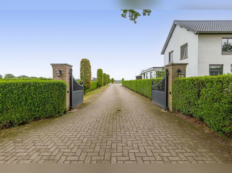Unique equestrian property with 10 stables & outdoor arena near forest trails