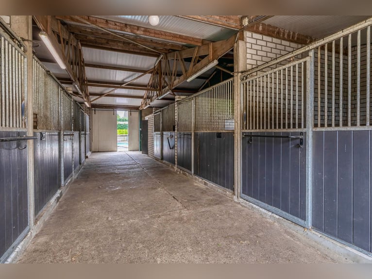 Unique equestrian property with 10 stables & outdoor arena near forest trails