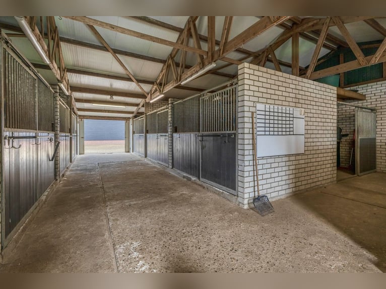 Unique equestrian property with 10 stables & outdoor arena near forest trails