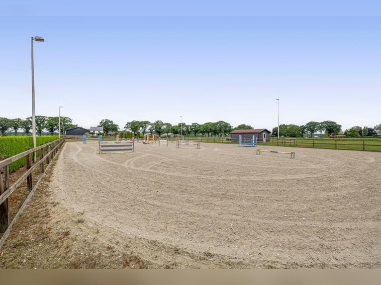 Unique equestrian property with 10 stables & outdoor arena near forest trails