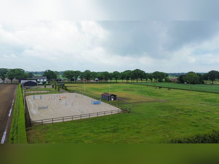 Unique equestrian property with 10 stables & outdoor arena near forest trails