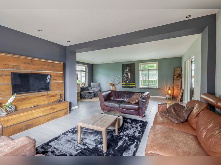 Unique equestrian property with 10 stables & outdoor arena near forest trails