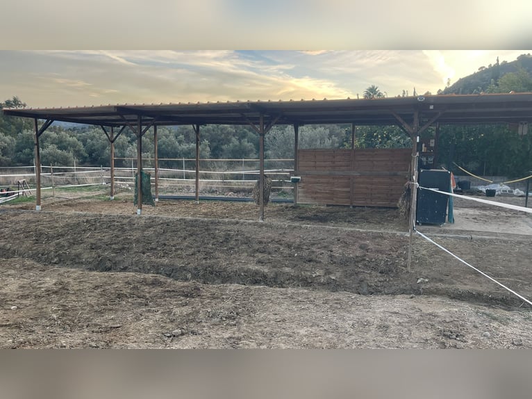 Unique Off-Grid Mountain Home With 360° Panoramic Views and Full Equestrian Facilities 