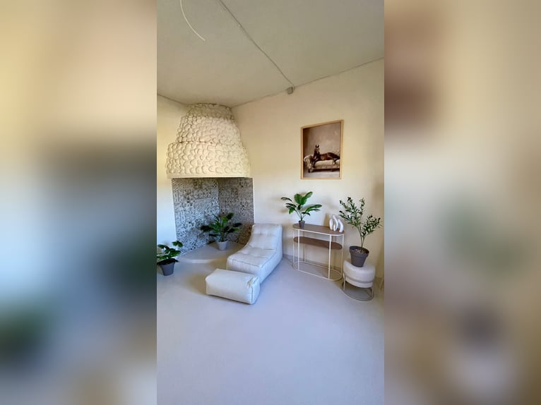 Unique Off-Grid Mountain Home With 360° Panoramic Views and Full Equestrian Facilities 