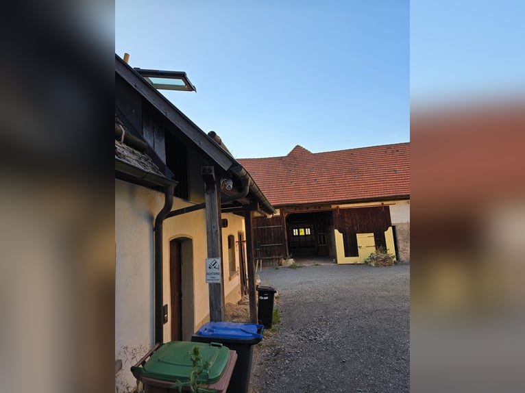 Veelzijdig paarden- en woonensemble met uitbreidingsmogelijkheden – ideaal voor een dierenkliniek, m
