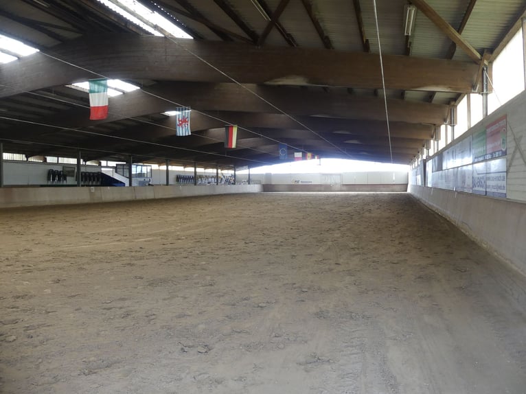 Vergabe der Reitsportanlage Monaise im Erbbaurecht