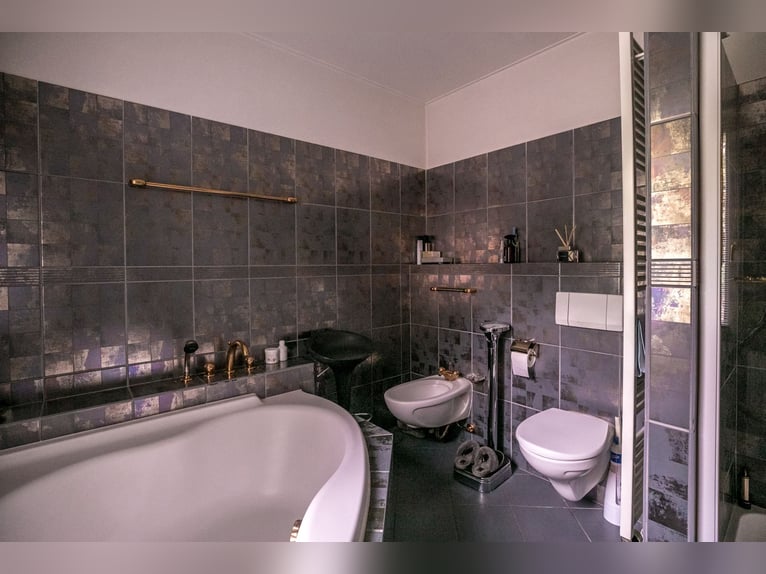 VERKOCHT: Complete paardenaccommodatie met landhuis nabij de Duitse grens in Nederland.