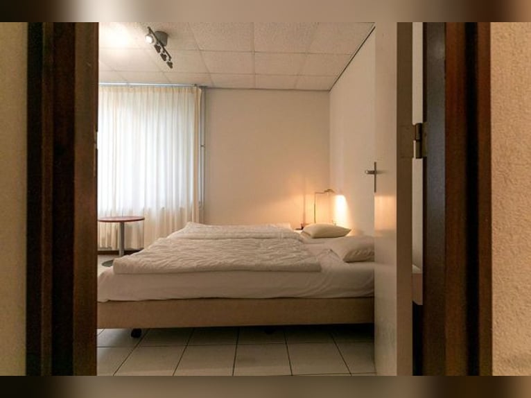 VERKOCHT: Complete paardenaccommodatie met landhuis nabij de Duitse grens in Nederland.