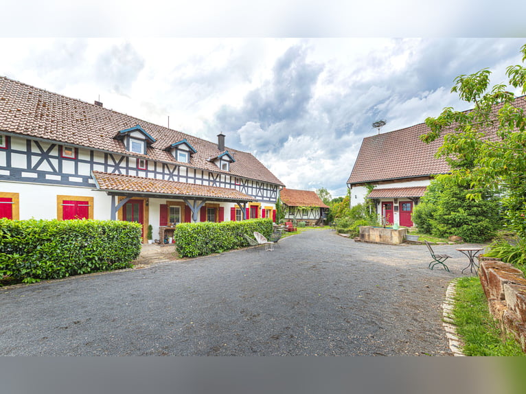 Viel Wohnraum, viele Optionen– Reitimmobilie in traumhafter Lage