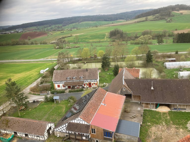 Viel Wohnraum, viele Optionen– Reitimmobilie in traumhafter Lage