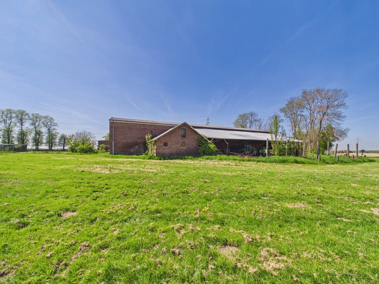 Vierkantboerderij in Erftstadt – idyllische landgoed met de mogelijkheid tot paardenhouderij, gelege