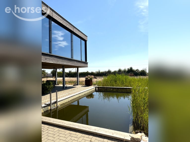 Villa in moderne architectuurstijl met 60 m lange rijhal & innovatief huisvestingsconcept V14935