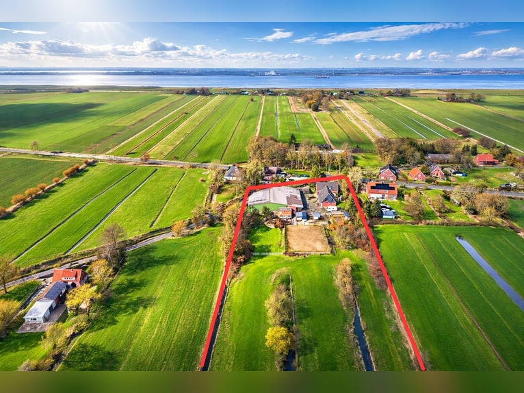 Volledig gerenoveerde boerderij met 3 hectare eigen land, rijbaan en hal.