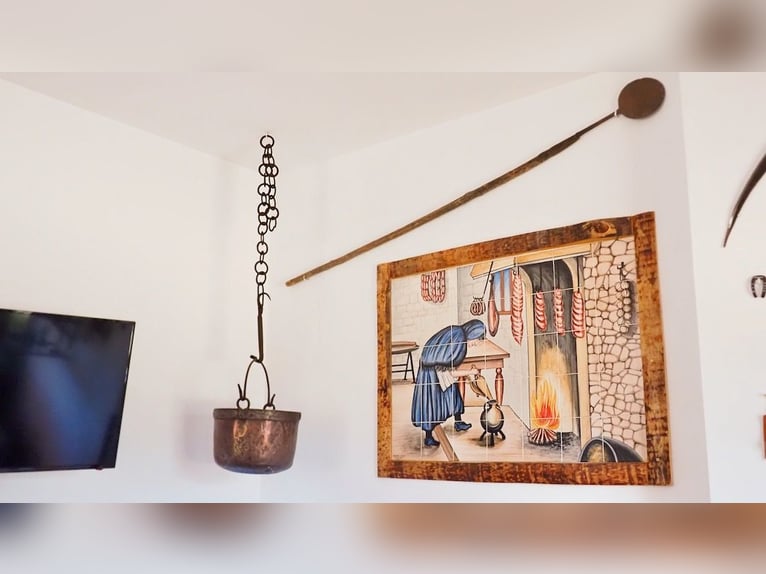 Volledig uitgerust landhuis met zwembad