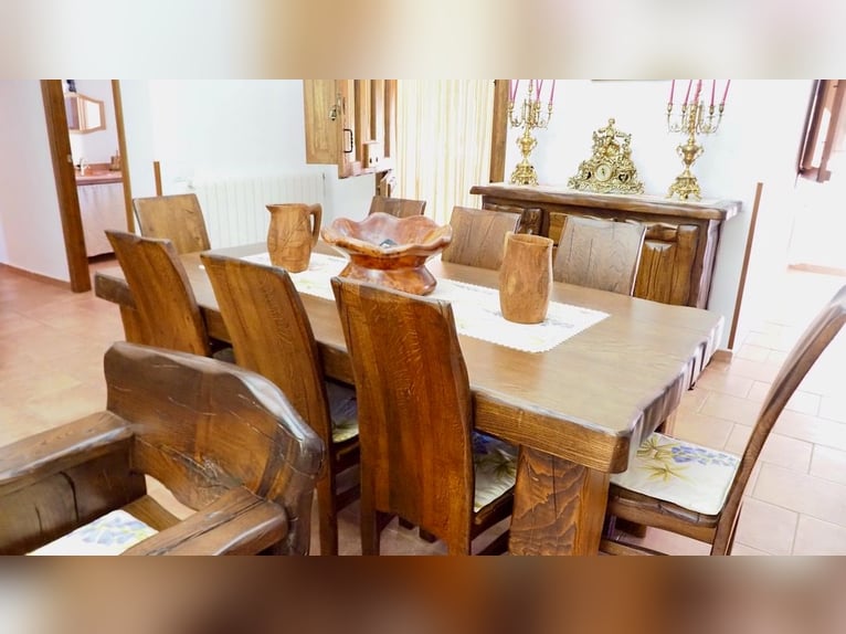 Volledig uitgerust landhuis met zwembad