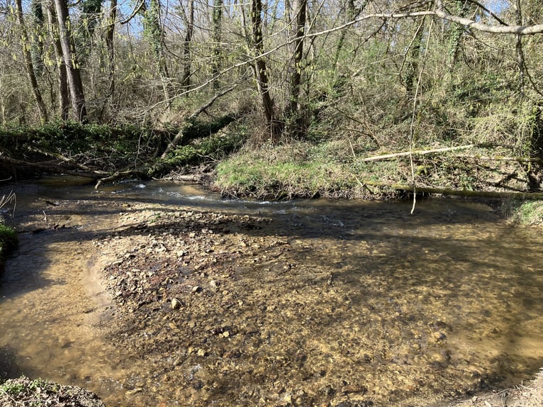 Volledig uitgeruste manege!