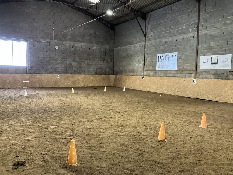 Volledig uitgeruste manege!