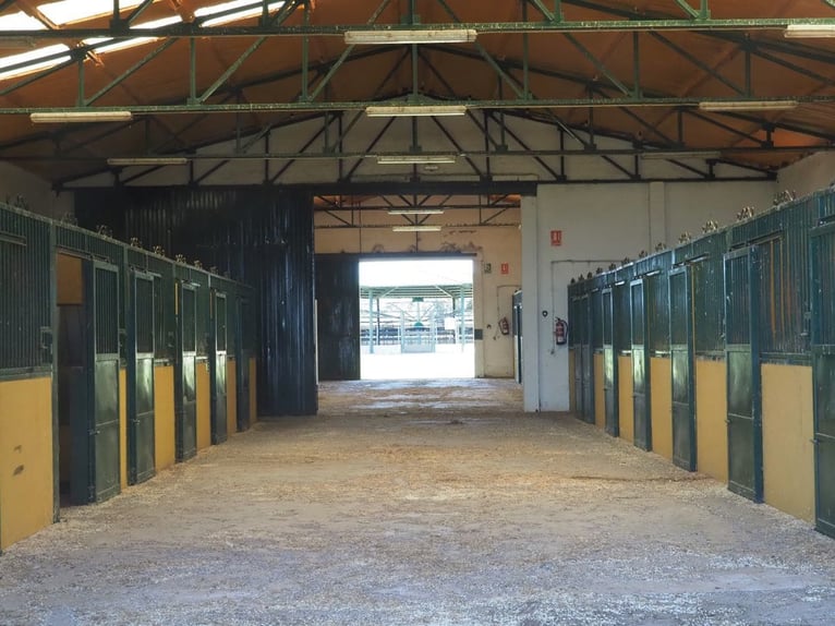 Volledig uitgeruste paardenboerderij – 24 ha – Cáceres