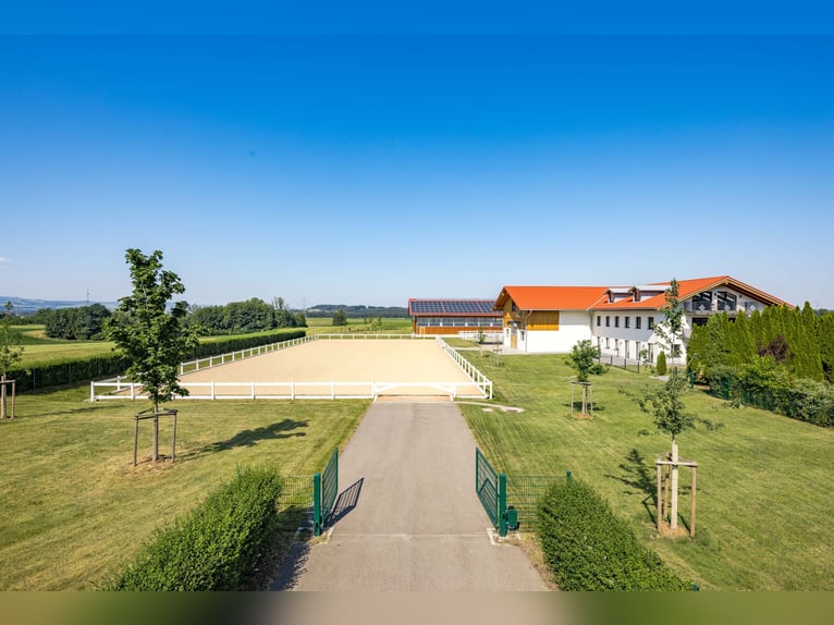 Voor paardenliefhebbers: Nieuw luxe ruitersportcentrum in het Allgäu