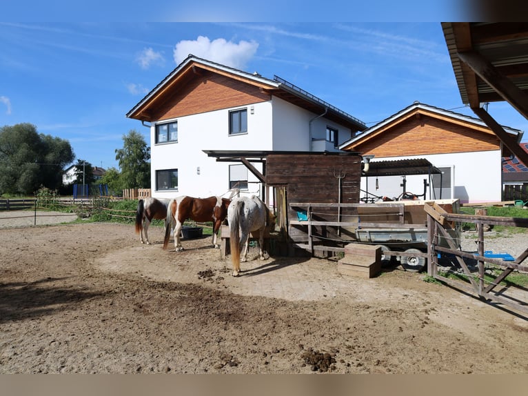 Vrijstaand nieuwbouwhuis met 2,5 wooneenheden *Paardenhouderij* 1786 m² *zonder commissie*