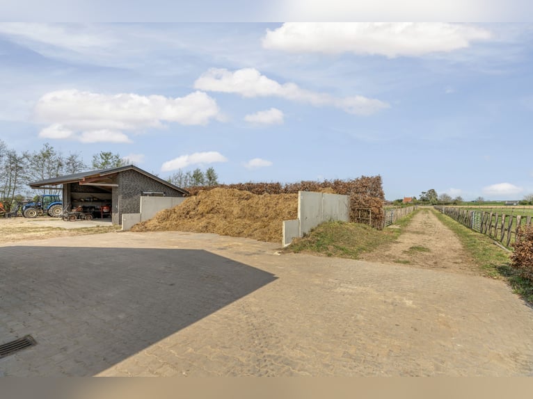 Vrijstaande woning met royaal wonen met een hoogwaardige en compleet ingerichte paardenaccommodatie