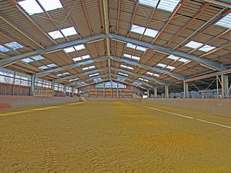 Welkom met uw paarden in uw nieuwe thuis!