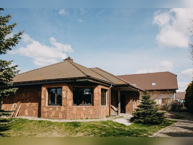 Werkende manege onder Lublin