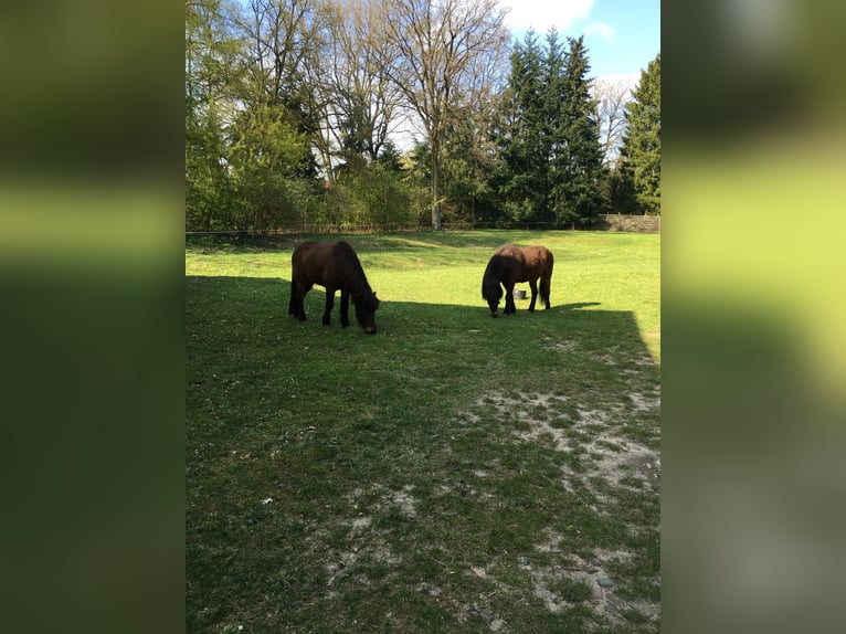 Wohnen, Arbeiten & Natur – historischer Hof mit 250 m² Wohnfläche und eigenem Waldstück