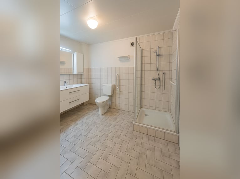 Wohnen, Arbeiten & Natur – historischer Hof mit 250 m² Wohnfläche und eigenem Waldstück