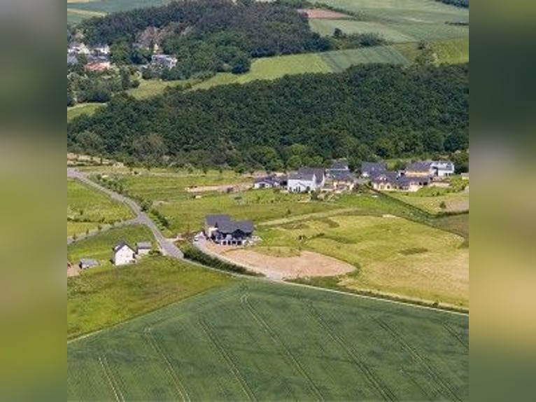 Wonen en leven met paarden in Rijnland-Palts, in het prachtige Maifeld, in een uniek woongebied
