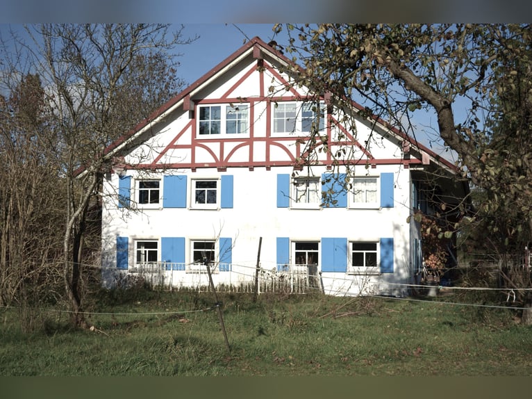 Wonen met paarden in het Allgäu