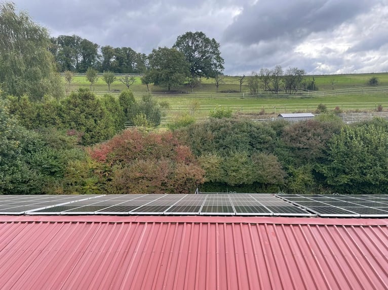 Woning (3 appartementen) met open/box-stal, paddock trail, rijbaan, werkplaatsloods, PV-systeem – DI