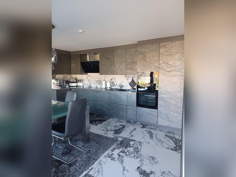 Woning (3 appartementen) met open/box-stal, paddock trail, rijbaan, werkplaatsloods, PV-systeem – DI