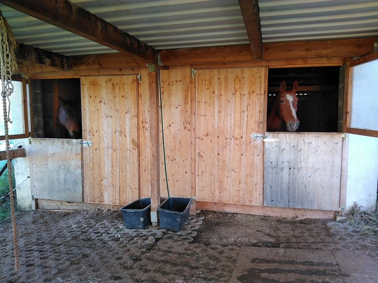 Woonhuis met kleine open stal