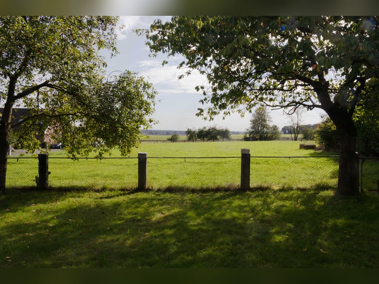 Woonhuis met paardenstal en weilanden in Hamminkeln-Brünen