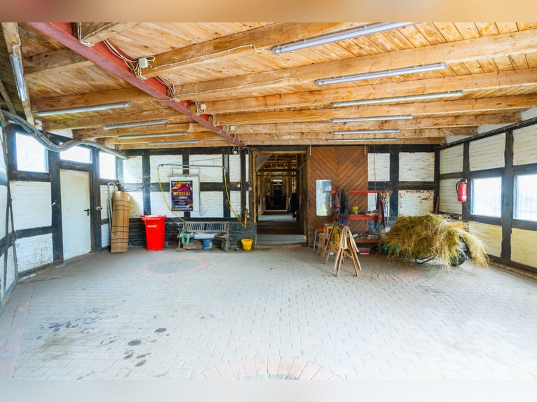 Wundervoller Pferdehof mit ca. 7,5ha Fläche, Reithalle, Führanlage, Reitplatz, Stalltrakten u.v.m.