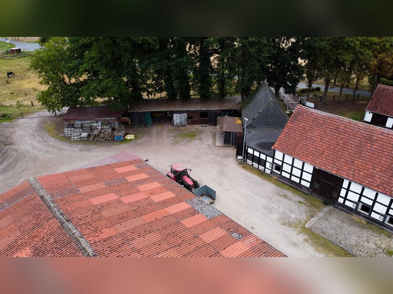 Wundervoller Pferdehof mit ca. 7,5ha Fläche, Reithalle, Führanlage, Reitplatz, Stalltrakten u.v.m.