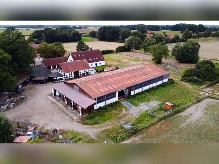 Wundervoller Pferdehof mit ca. 7,5ha Fläche, Reithalle, Führanlage, Reitplatz, Stalltrakten u.v.m.