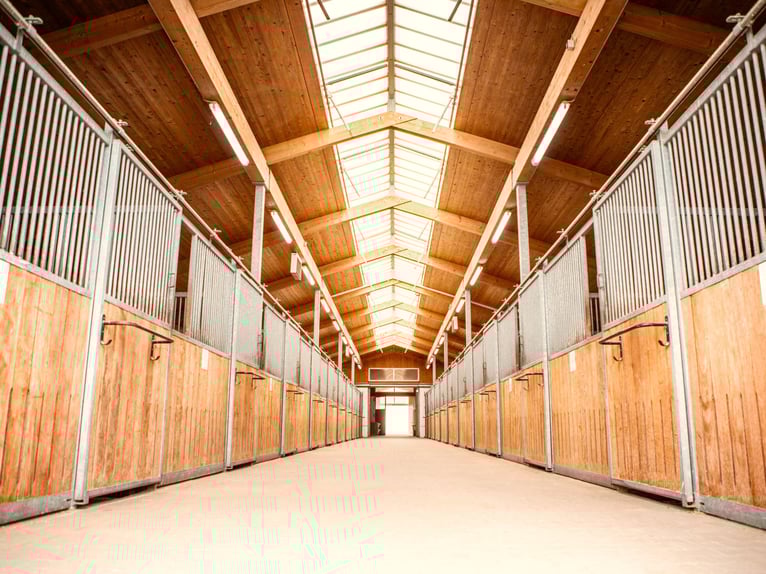 XXL-rijsportfaciliteit voor de grote sport in Franken V14177 – zonder provisie