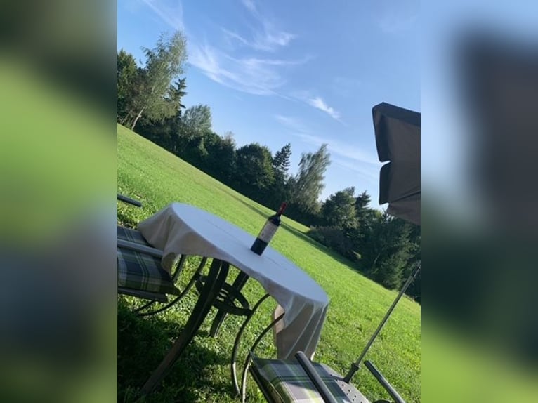 Zelfvoorzienend paarden- en natuurparadijs (ongeveer 2,3 hectare) met eigen water, PV-opbrengst en X
