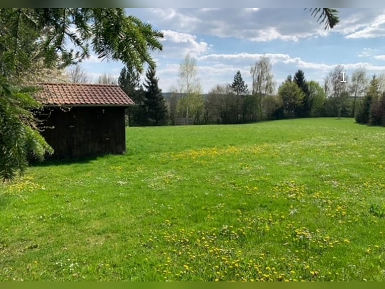 Zelfvoorzienend paarden- en natuurparadijs (ongeveer 2,3 hectare) met eigen water, PV-opbrengst en X