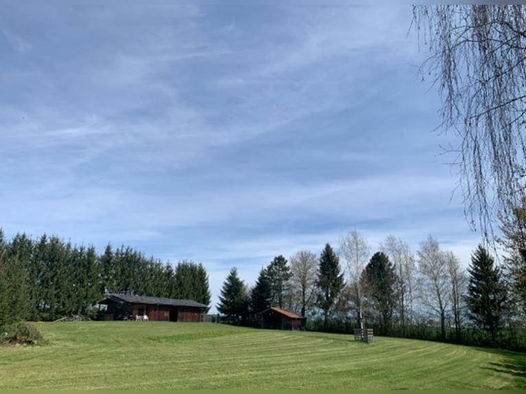 Zelfvoorzienend paarden- en natuurparadijs (ongeveer 2,3 hectare) met eigen water, PV-opbrengst en X