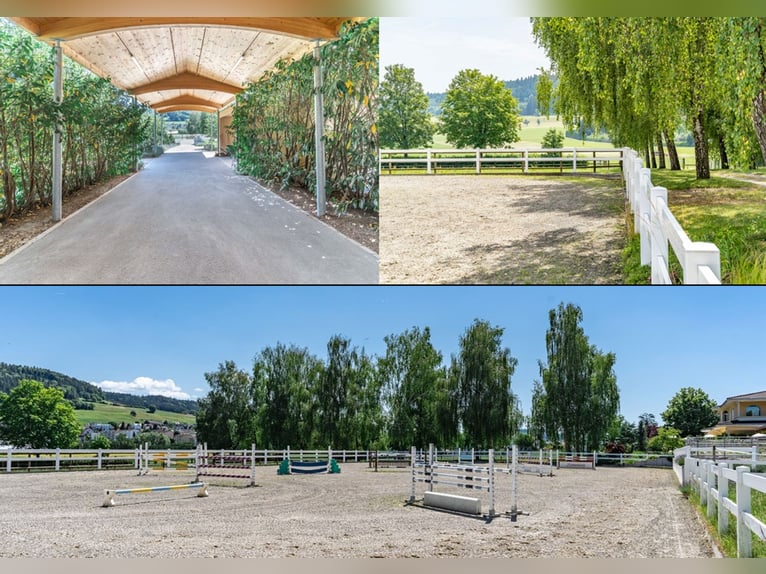 Zu Verkaufen Reitanlage im Raum Thurgau (Schweiz)