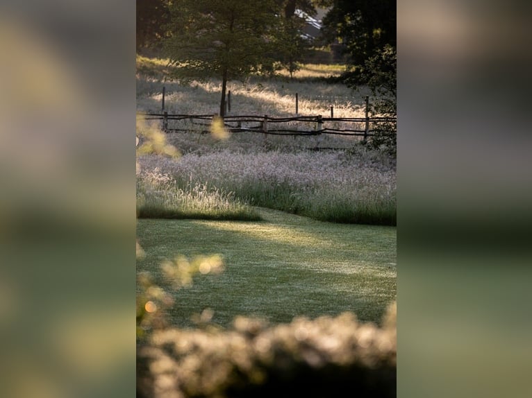 Unterstützung im Stall- und Hofalltag (Raum Leipzig)