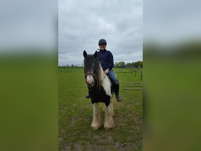 Verzorgpony gezocht: Moeder en dochter zoeken samen een rustige pony